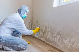 Best Commercial Mold Inspection  in Rio Grande City, TX